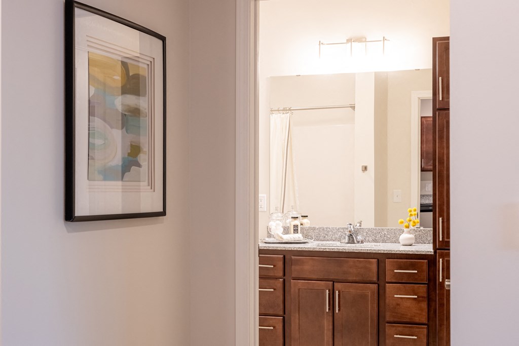 a bathroom with a sink and mirror and a framed picture on the wall