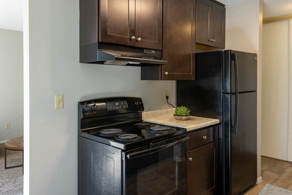 an updated kitchen with black appliances and dark wood cabinets at Villa Del Coronado Apartments, Brooklyn Park
