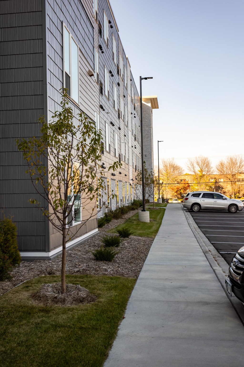 a sidewalk in front of a building with a tree next to it