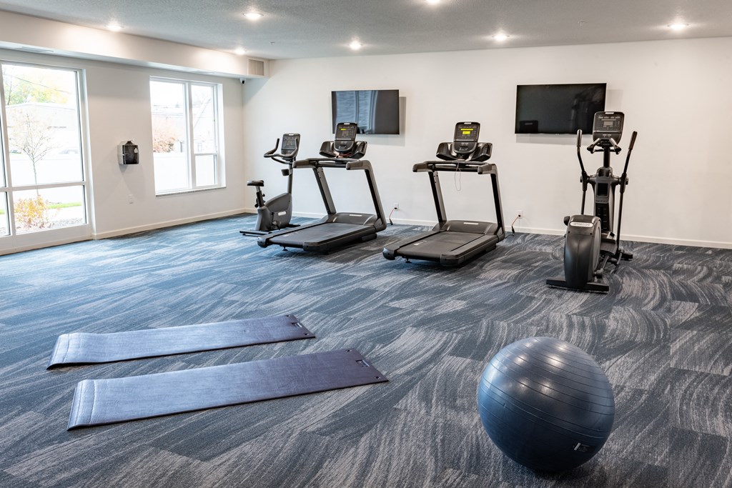 a fitness room with exercise balls and yoga mats and a tv