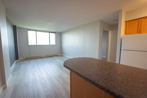 A kitchen with a counter and a window.
