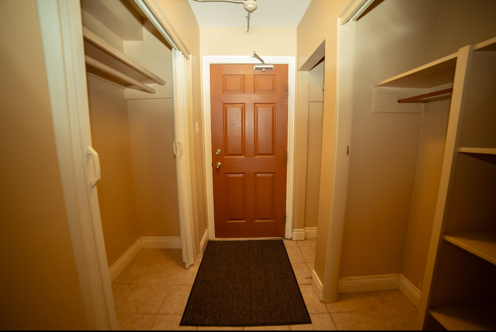 A hallway with a brown door and a rug on the floor.