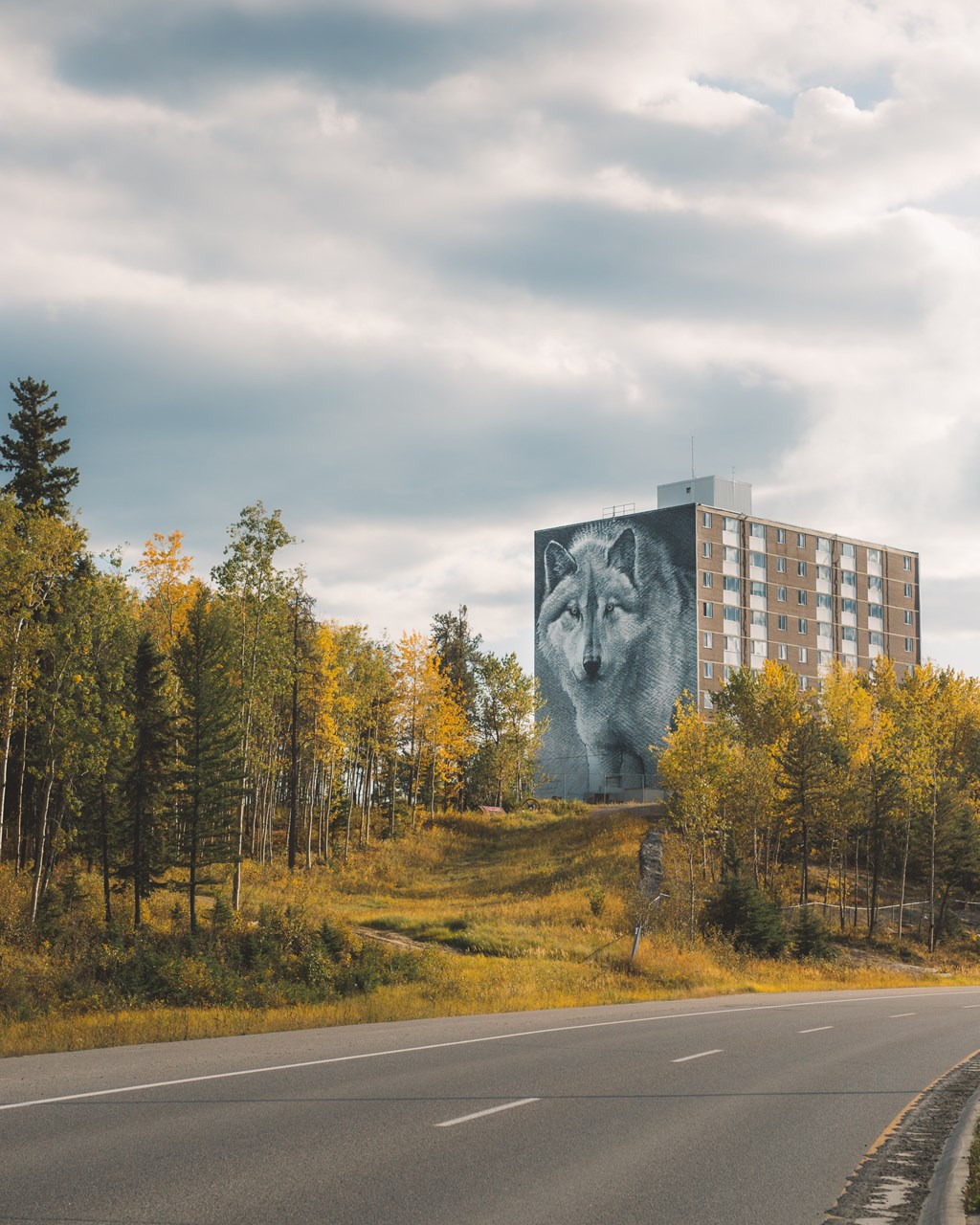 A large building with a large image of a wolf on it is surrounded by trees with yellow leaves.