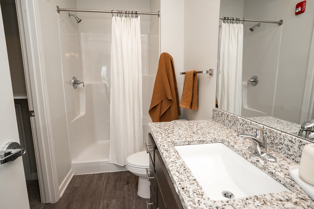 a bathroom with a sink and a toilet and a shower