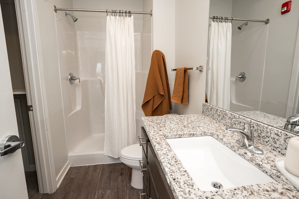 a bathroom with a sink and a toilet and a shower