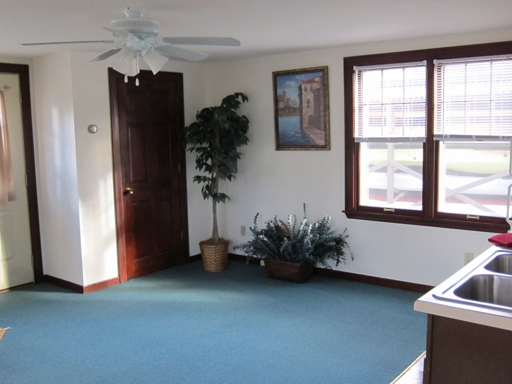 a kitchen with a ceiling fan and a plant