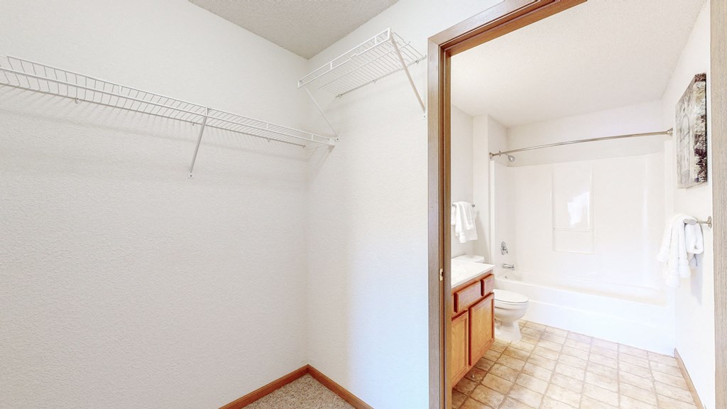 master walk in closet and bath