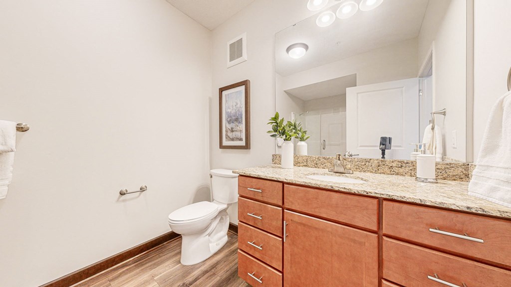 a bathroom with wooden cabinets and a toilet and a sink at Victoria Flats, Minnesota, 55386
