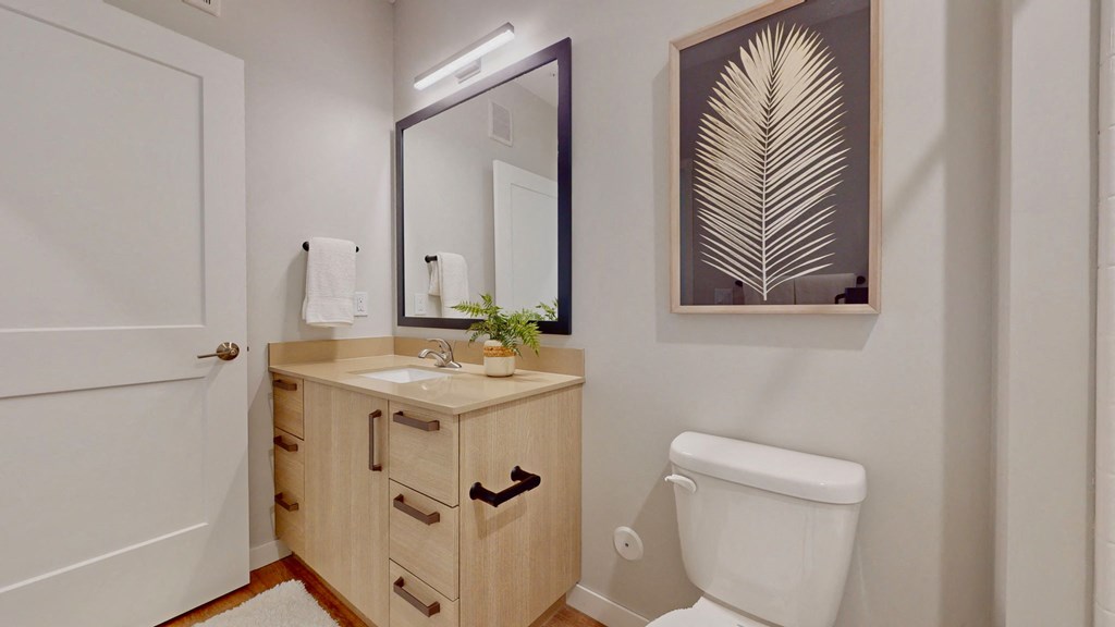 a bathroom with a toilet and a sink and a mirror
