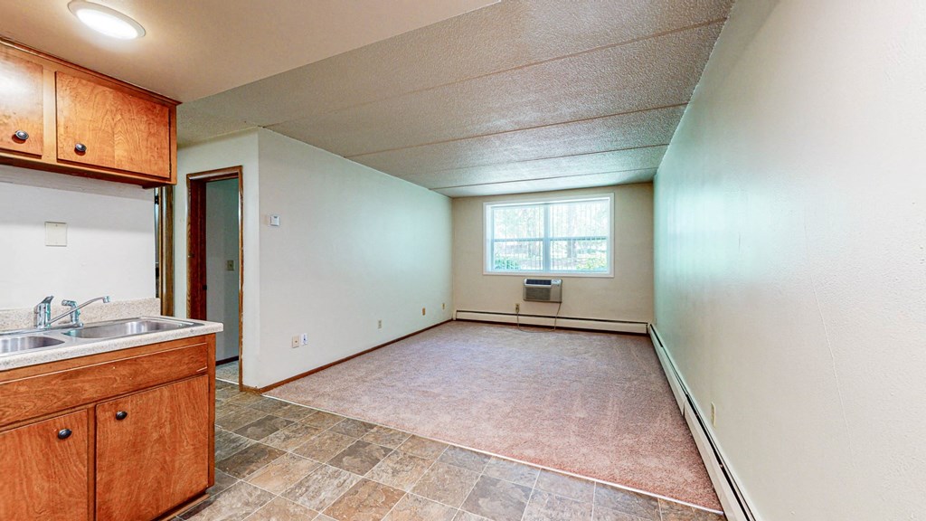 an empty living room with a sink and a window
