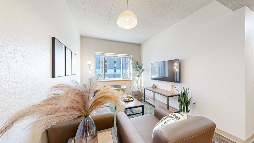 Living Area With TV at Bierman Place, Minneapolis