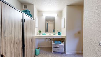 a bathroom counter and armoires