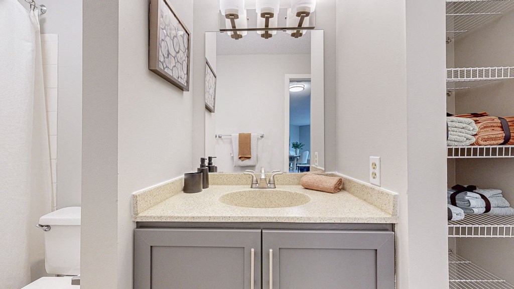 a bathroom with a sink and a mirror