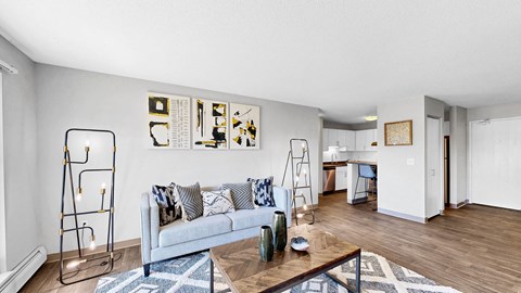 A living room with a grey couch and a blue and white rug.