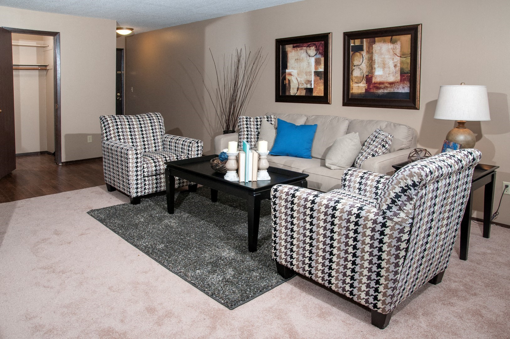 Living Room in Dinkytown Apartment with Large Front Hall Closet