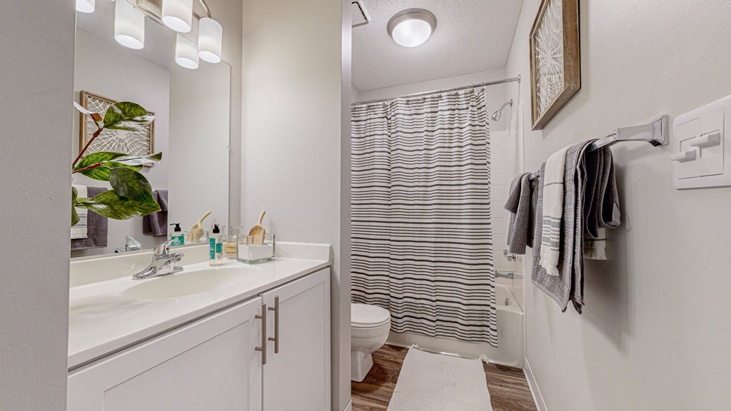 a bathroom with a shower and a sink and a mirror