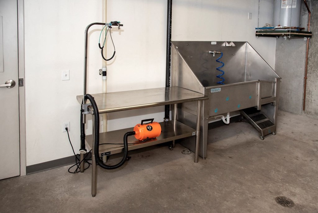 Dog Salon at 700 Central Apartments, Minneapolis, MN