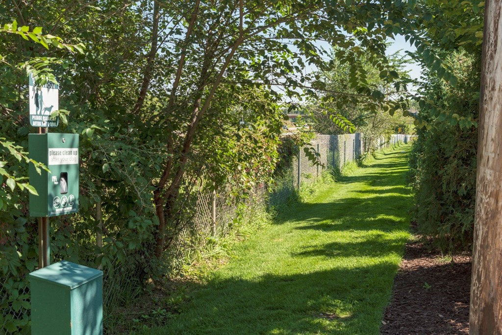 Dog Park  at The Axis, Minnesota, 55441