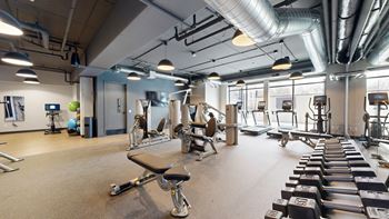 A gym with a variety of equipment including weights and exercise machines at Ardor on the Bluffs South Loop Residences Apartments, Bloomington, MN