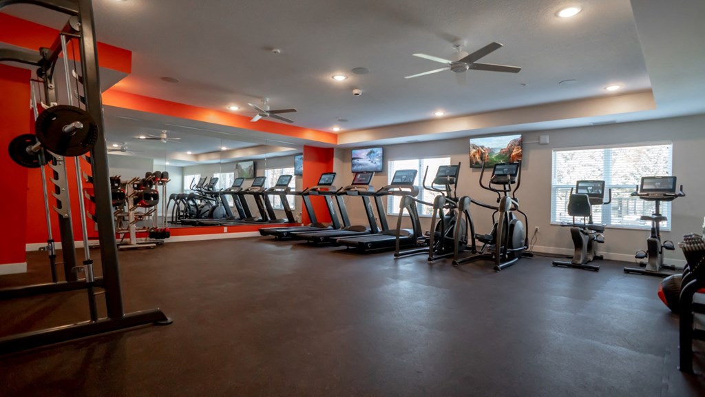 Modern Fitness Center at Arris Apartments - Now Open!, Minnesota, 55044