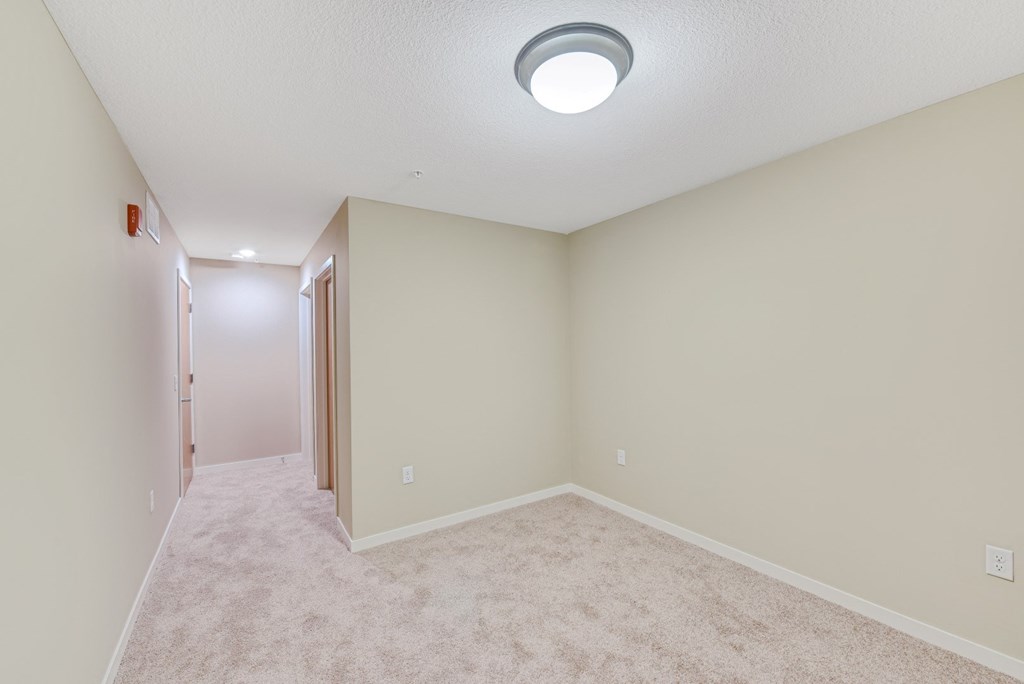 a spacious living room with carpet and a ceiling light