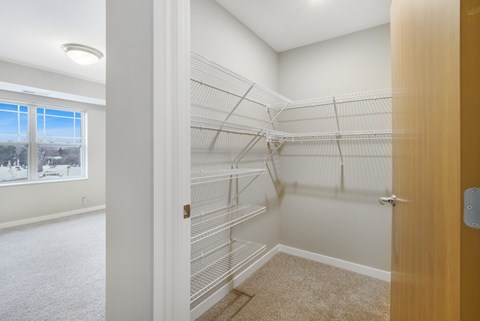 Empty walk-in closet with white shelves and a carpeted floor.