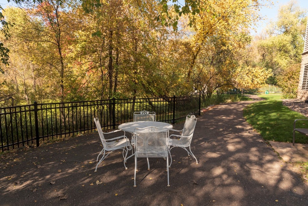 Picnic Area at Briarcliff Apartments, a 55+ Community, Minnesota