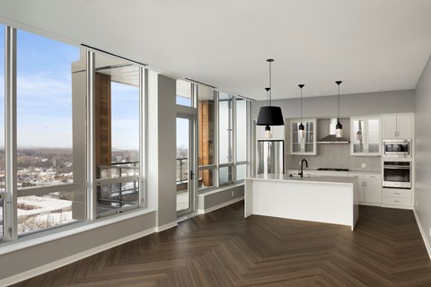 Penthouse Living Space at Calhoun Towers, Minneapolis, 55416