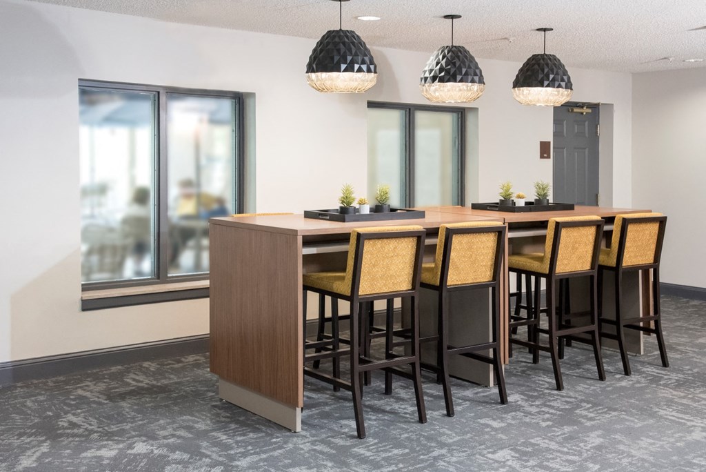 ChaskaPlaceApartments_Chaska_MN_TechLounge