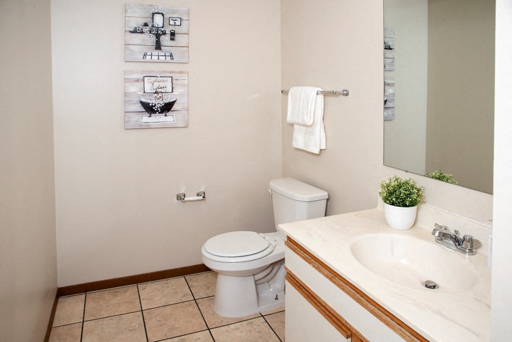 Classic 2 bedroom, 1.5 bath, bathroom at Cinnamon Ridge Apartments, Minnesota, 55122