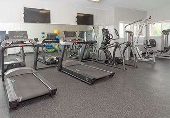 Cardio Studio Equipment at Cinnamon Ridge Apartments, Minnesota, 55122