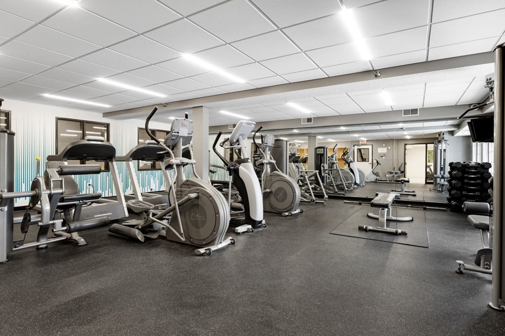 a gym with cardio equipment and weights on the floor