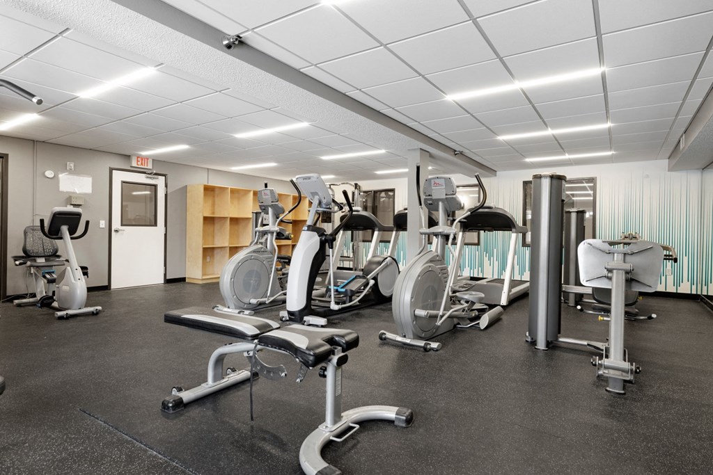 a gym with cardio equipment and weights on the floor