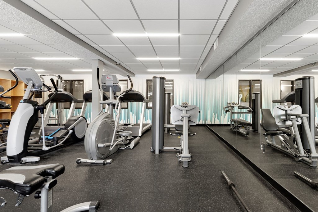 a gym with cardio equipment and weights on the floor