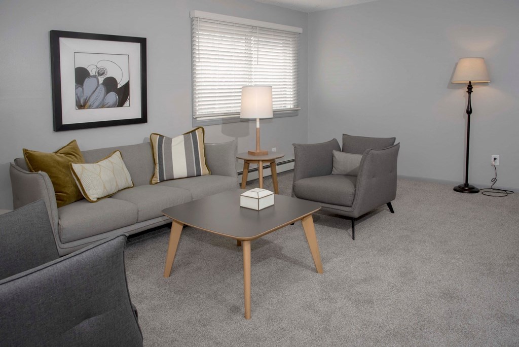 2 bedroom 1 bath living room