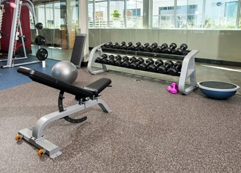fitness weights exercise
