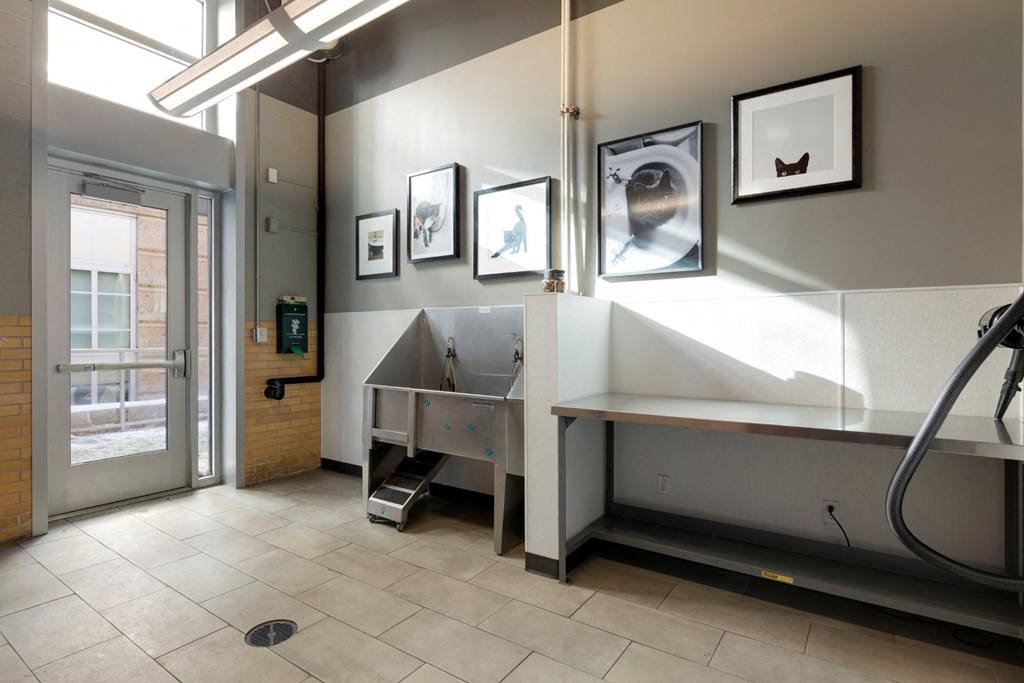 Dog Wash Station at Custom House, St. Paul