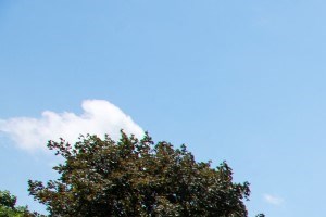 Eden Prairie Mn Apartments Eden Glen Photo Gallery