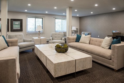 EdenvaleApartments_EdenPrairie_MN_community2
