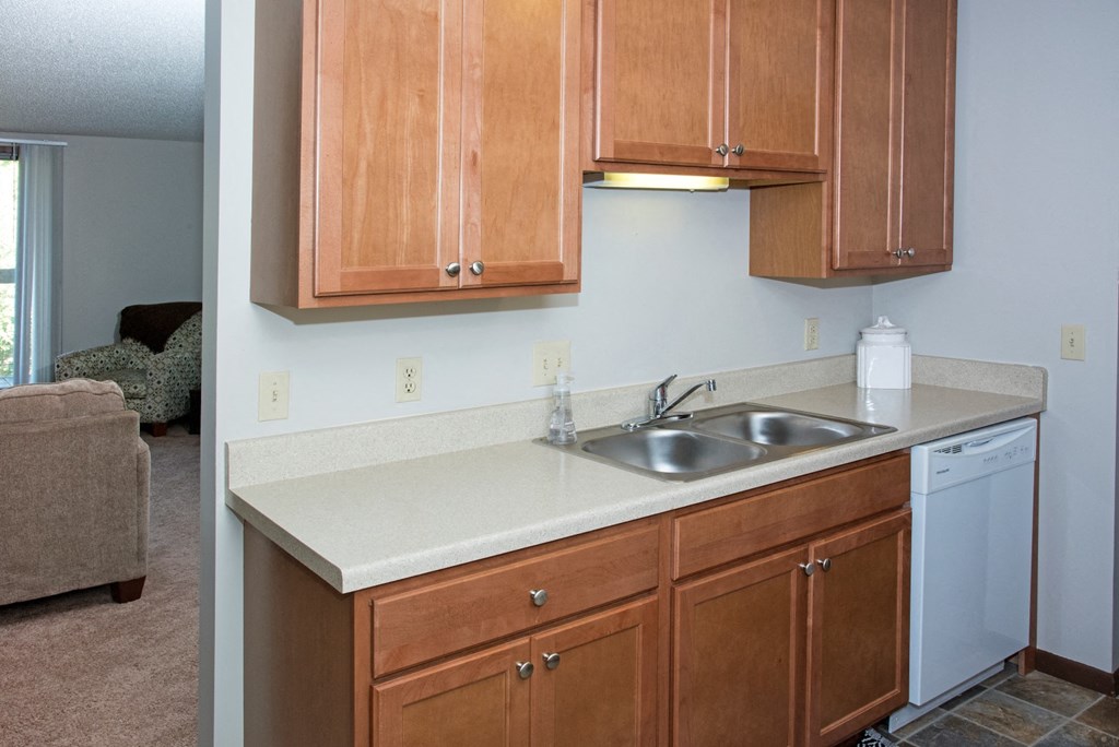 EdenvaleApartments_EdenPrairie_MN_modelkitchen2