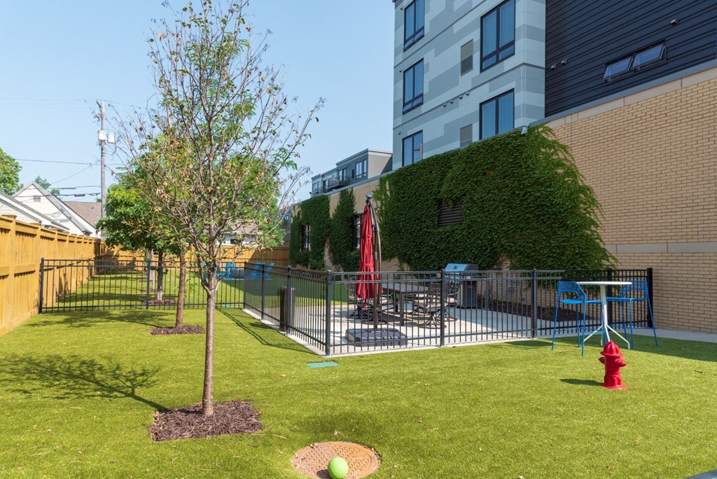 Pet Park at The Finn, Saint Paul