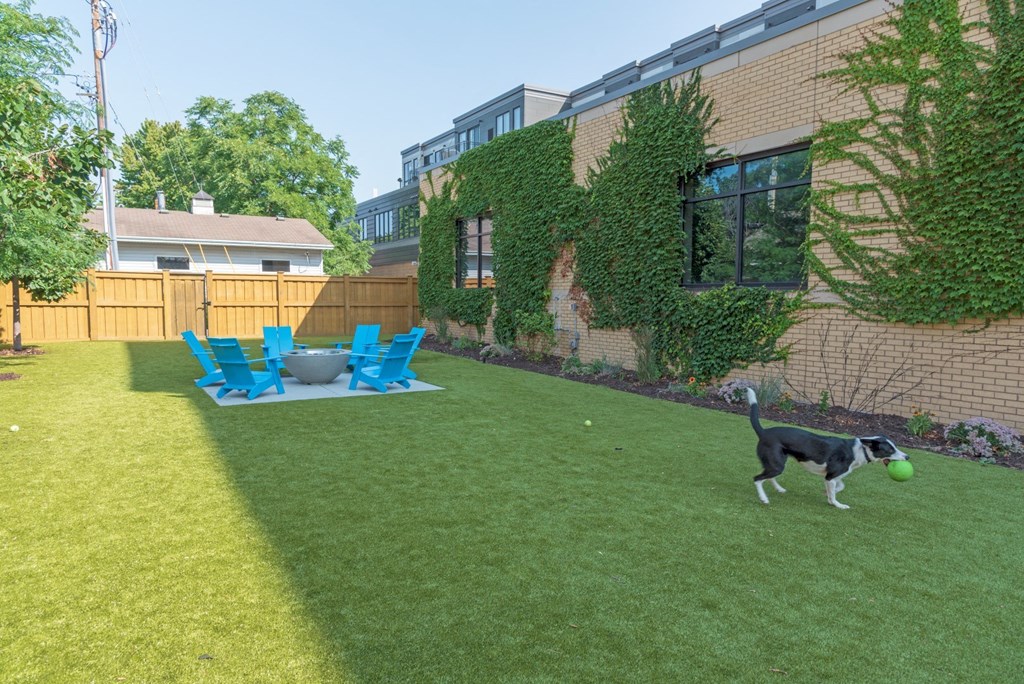 Backyard at The Finn, Saint Paul, MN, 55116