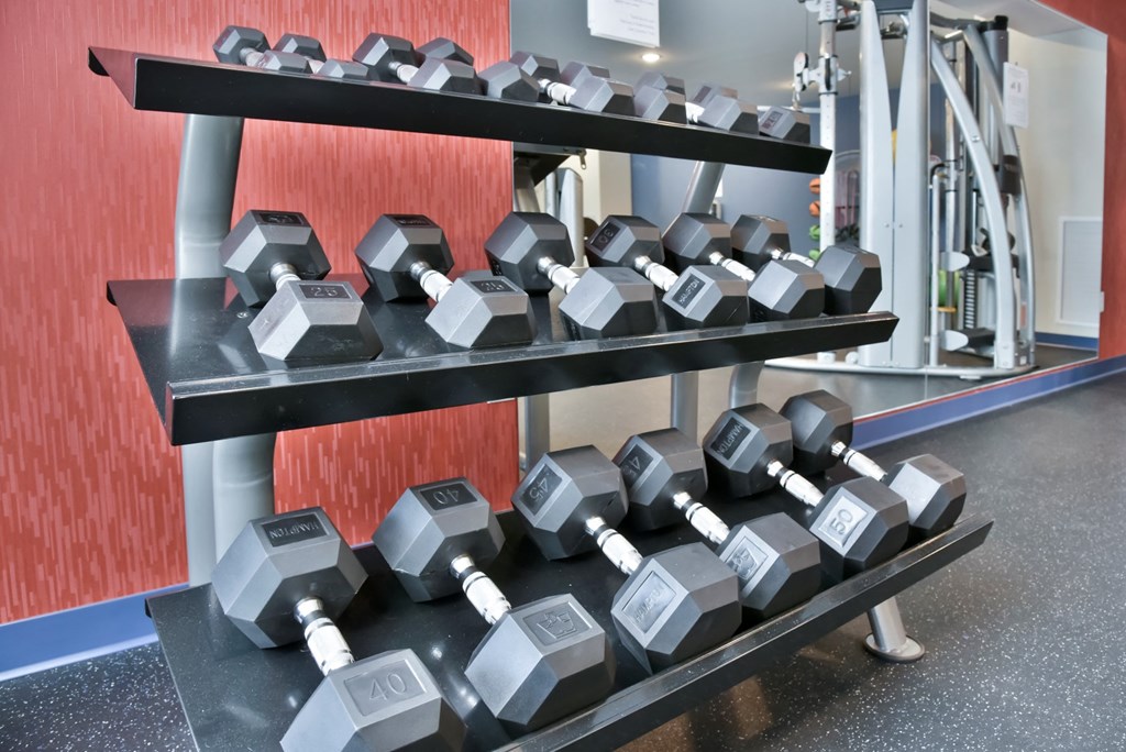Free Weights In Gym at Lake Jonathan Flats, Minnesota, 55318