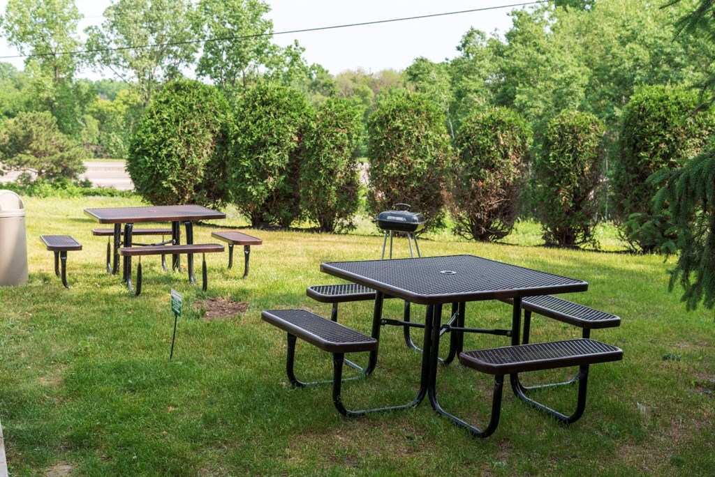 a group of picnic tables in a grassy area with trees in the background