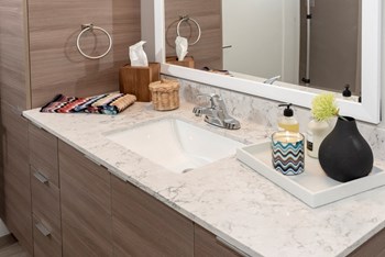 Bathroom Counter at Grove80 Apartments, Cottage Grove, 55016 - Photo Gallery 16