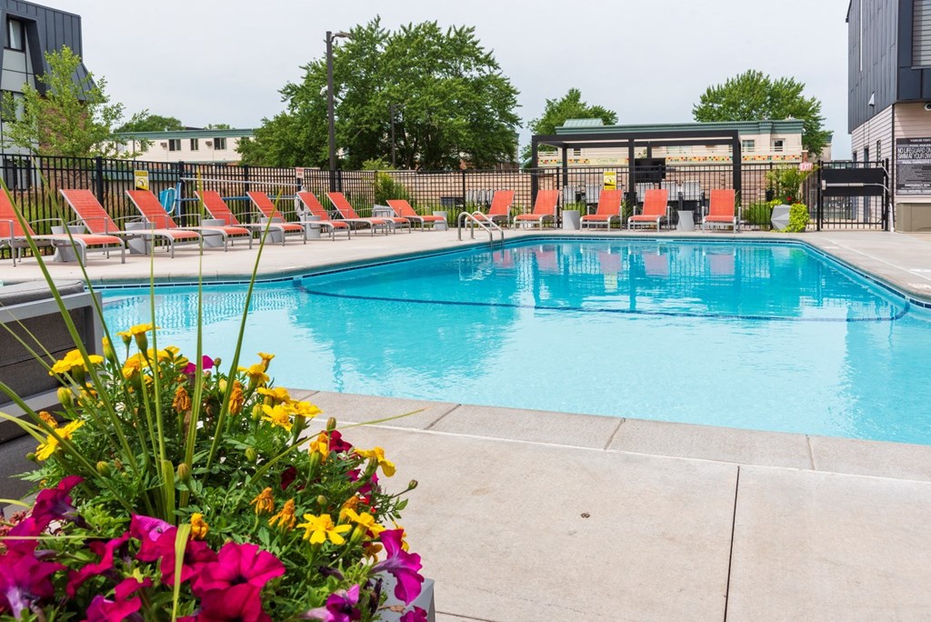 a swimming pool with chairs and flowers around it