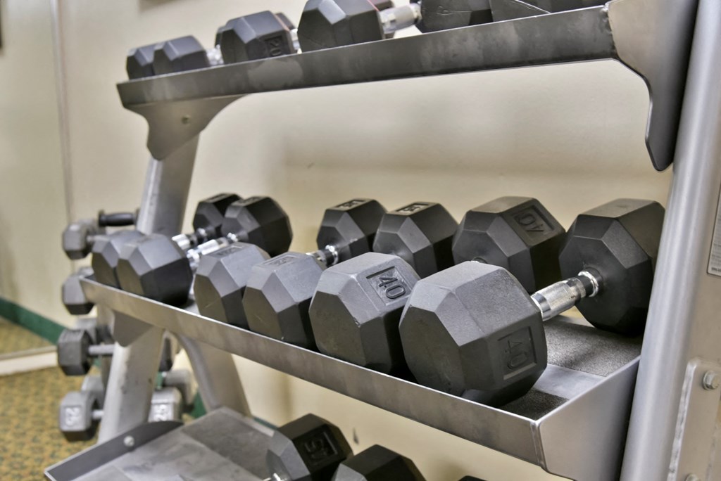 Free Weights In Gym at Hillsborough Apartments, Minnesota