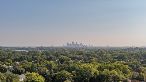 A city skyline is visible in the distance behind a dense forest.