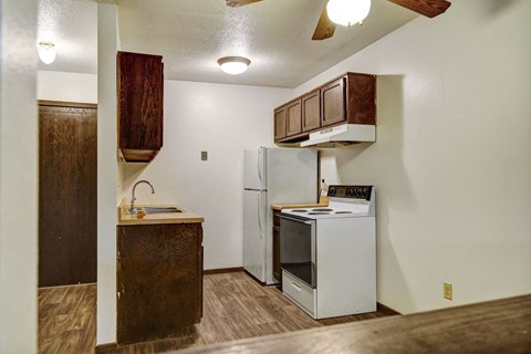 a kitchen with a stove refrigerator and a sink