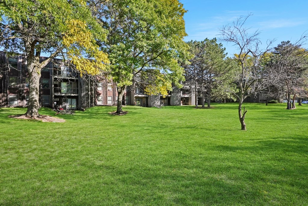 a green park with trees and apartments in the background
